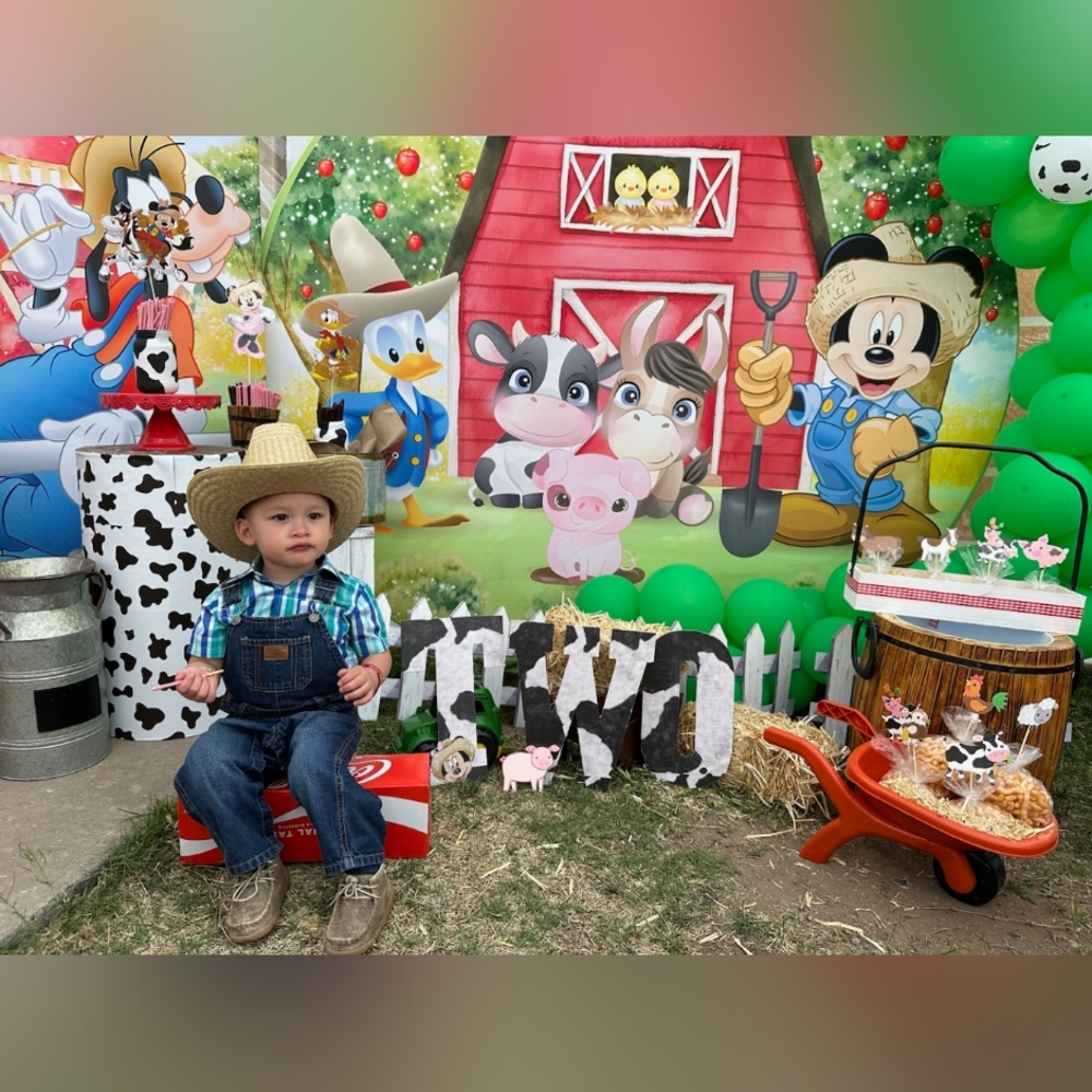 Mickey mouse farm birthday lot - Picture 1 of 15